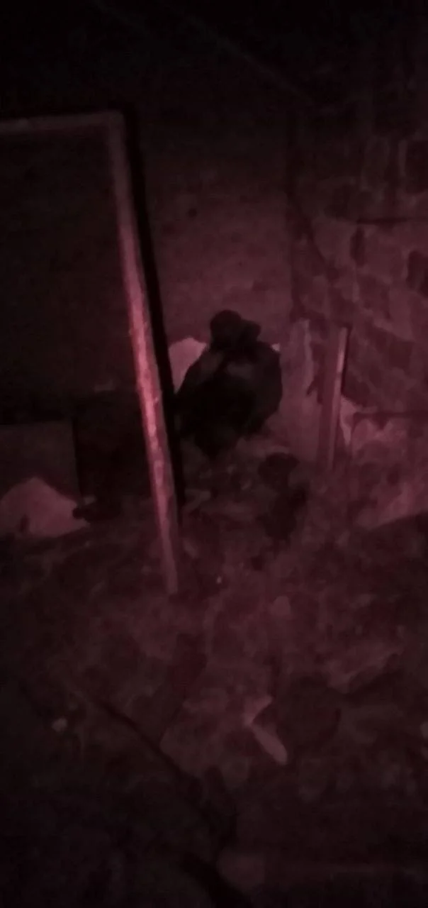 Изображение к публикации