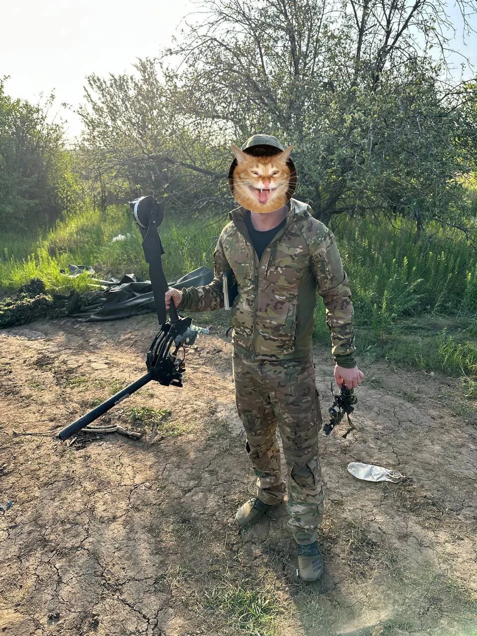 Изображение к публикации