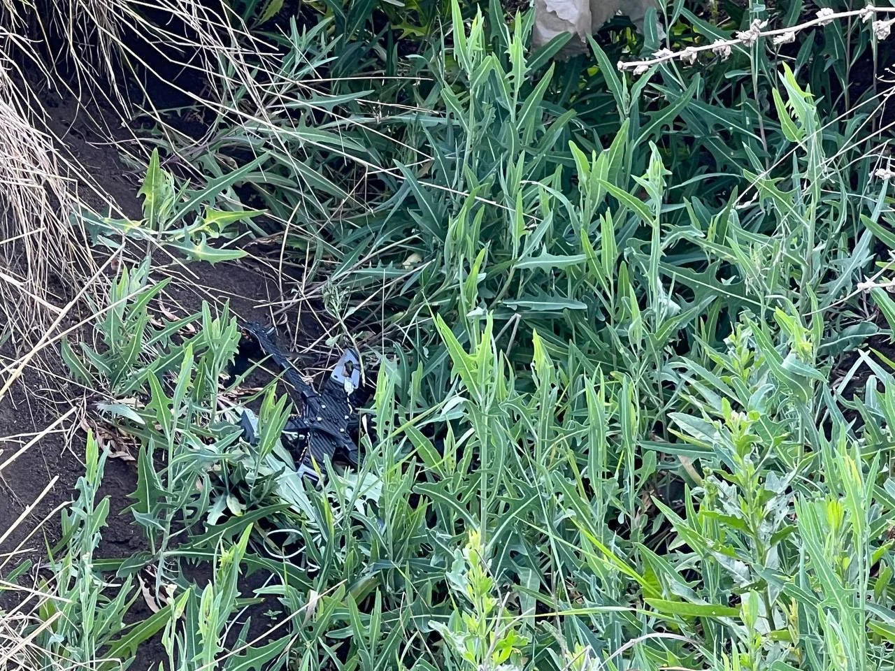 Изображение к публикации