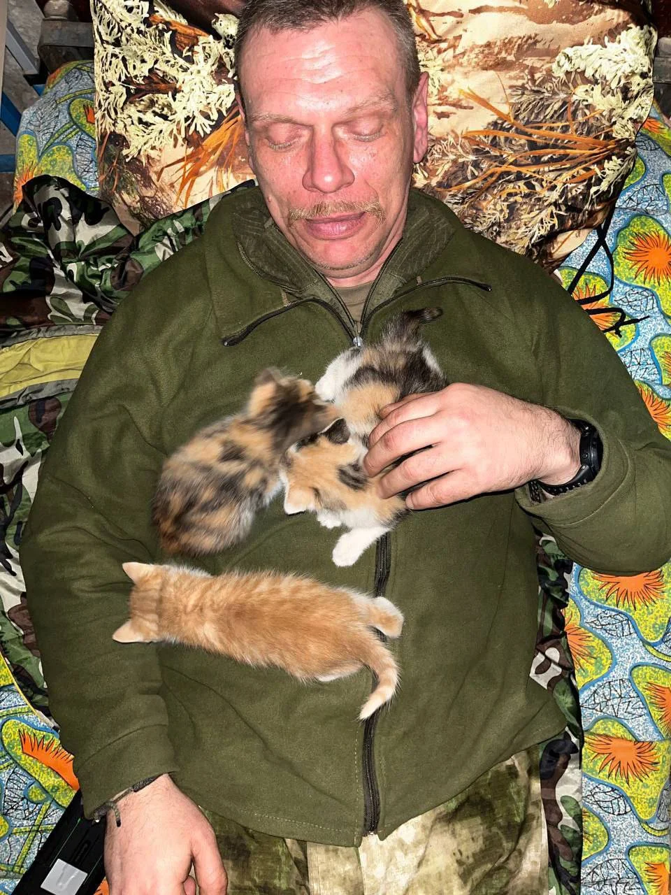 Изображение к публикации