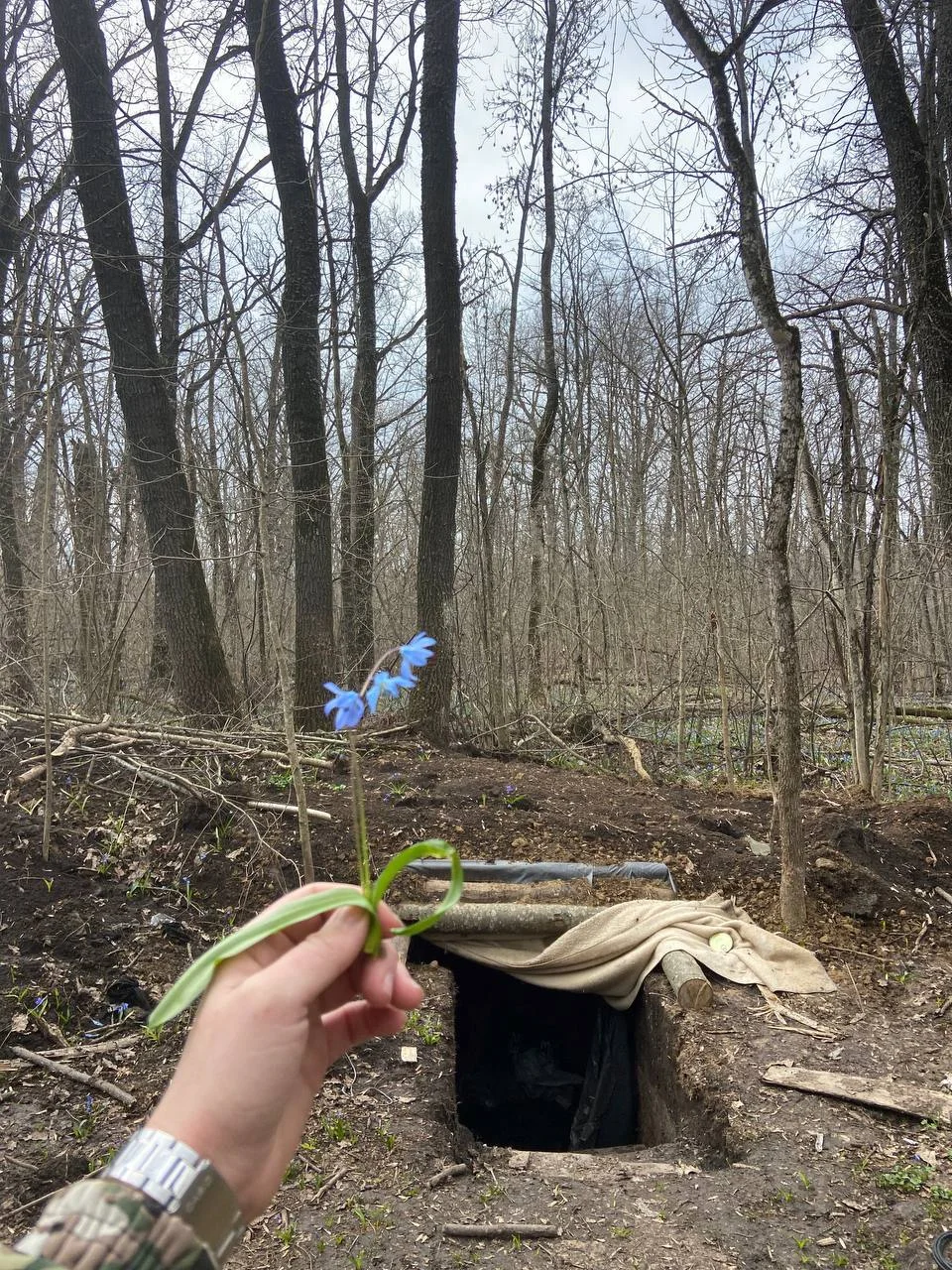 Изображение к публикации