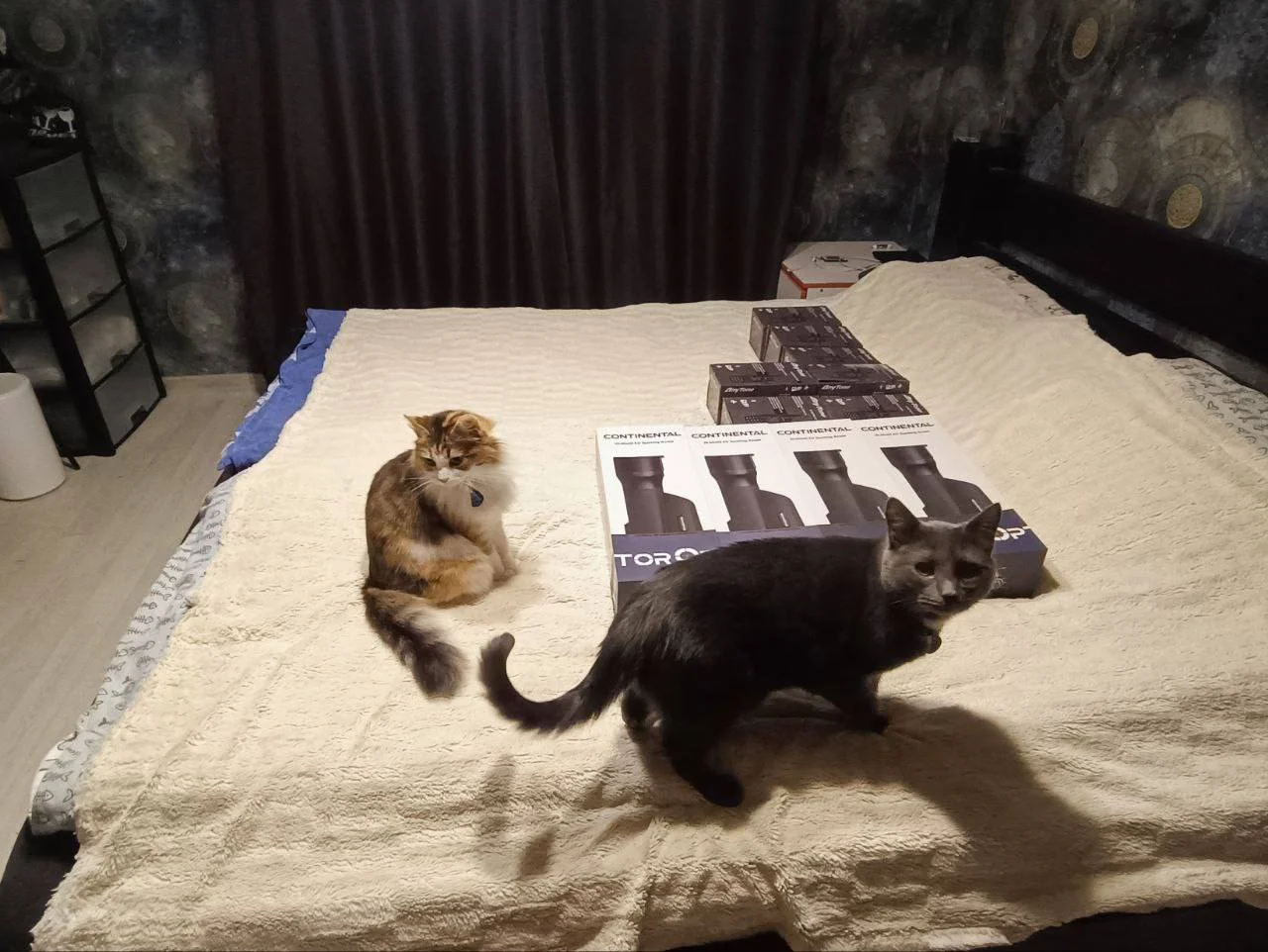 Изображение к публикации