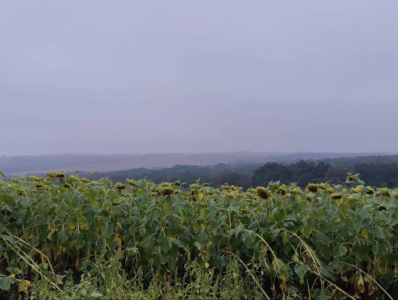 Изображение к публикации