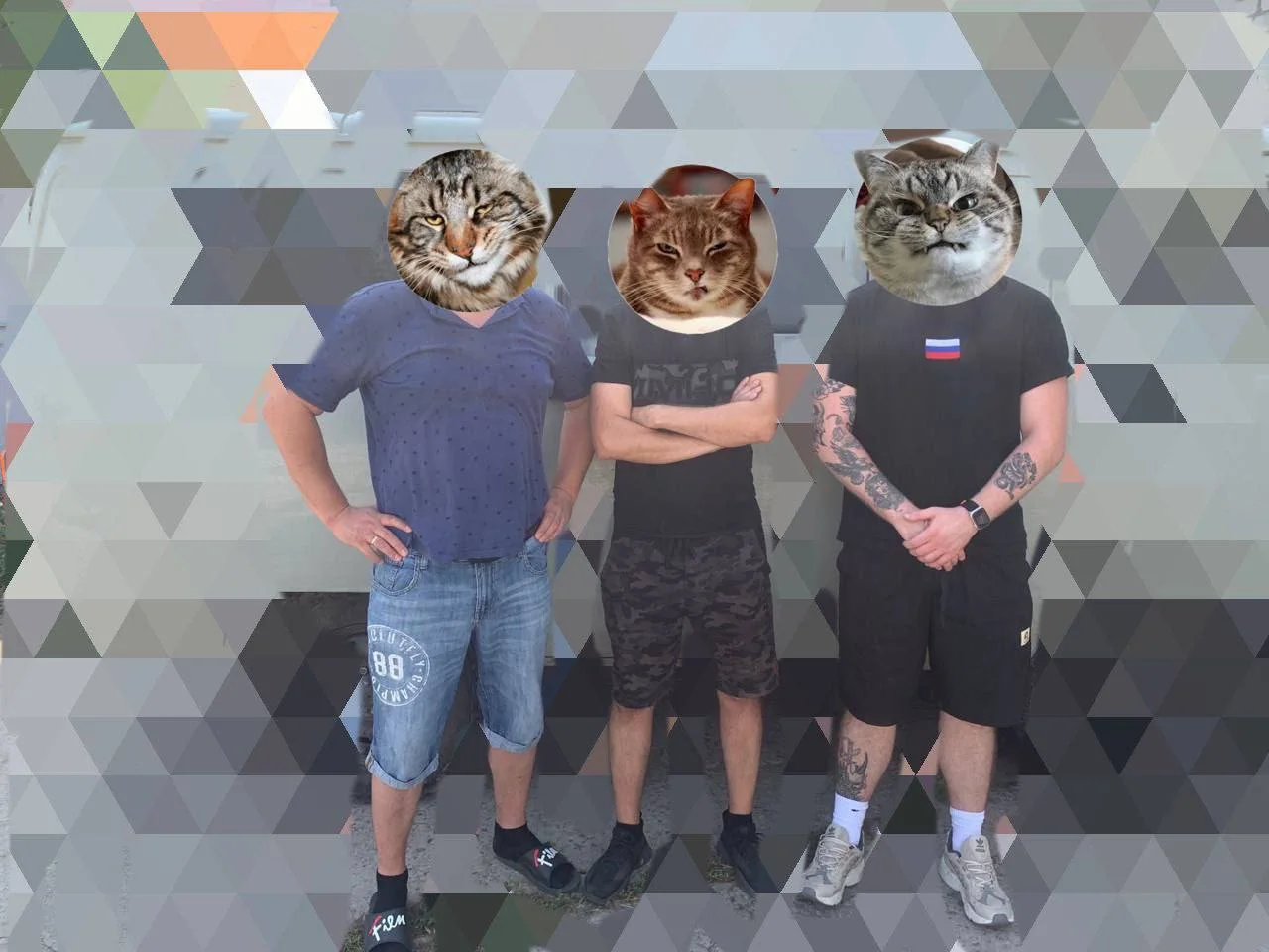 Изображение к публикации