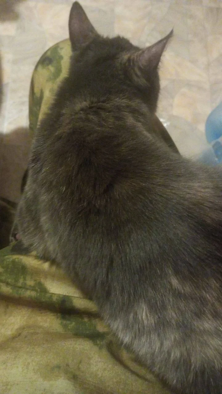 Изображение к публикации