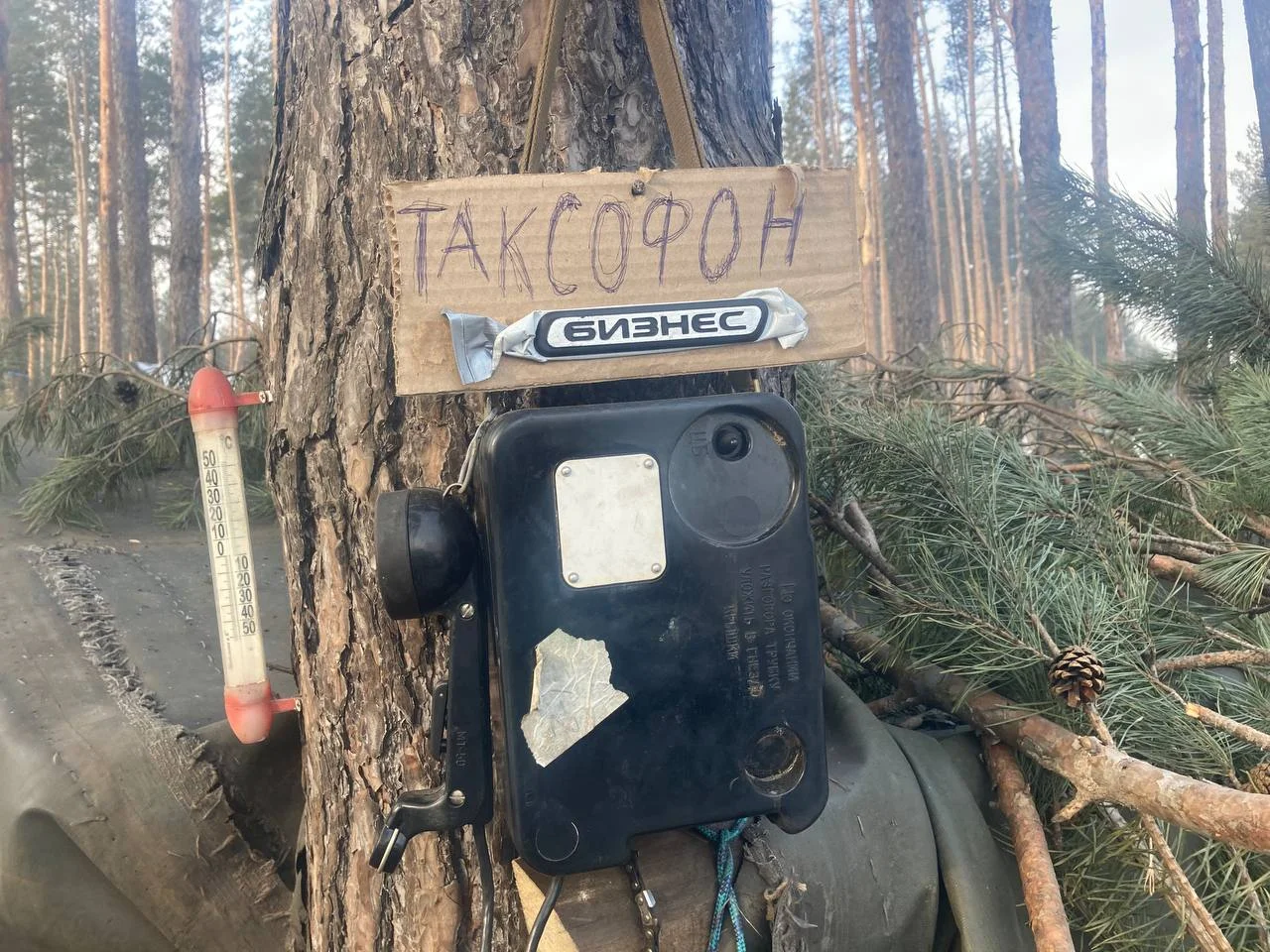 Изображение к публикации