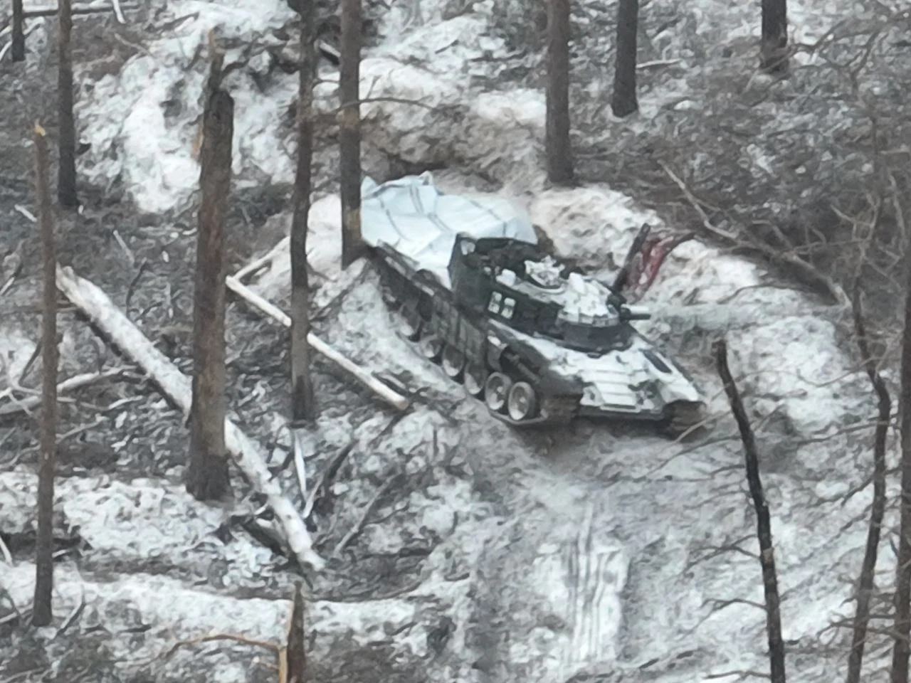 Изображение к публикации