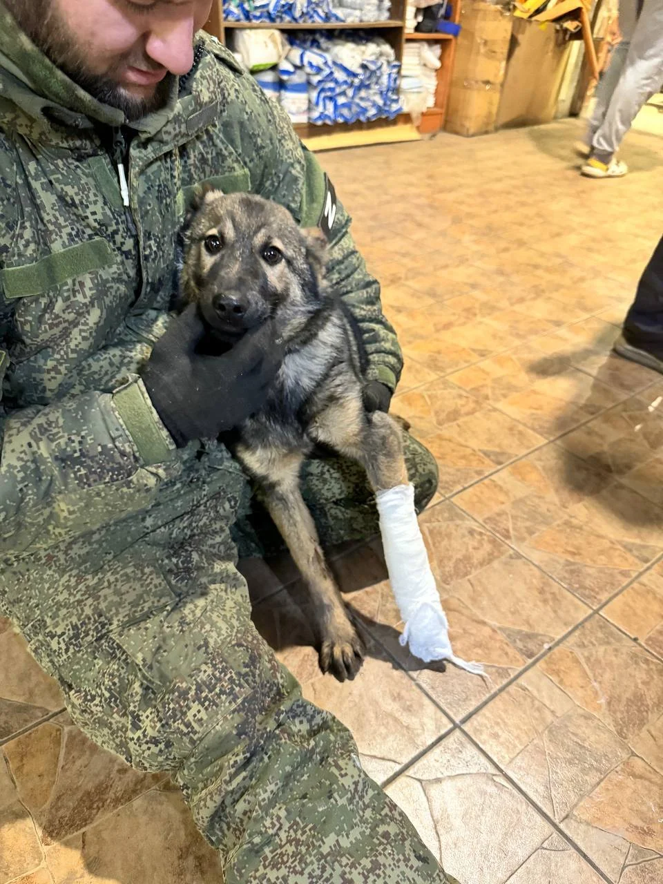 Изображение к публикации