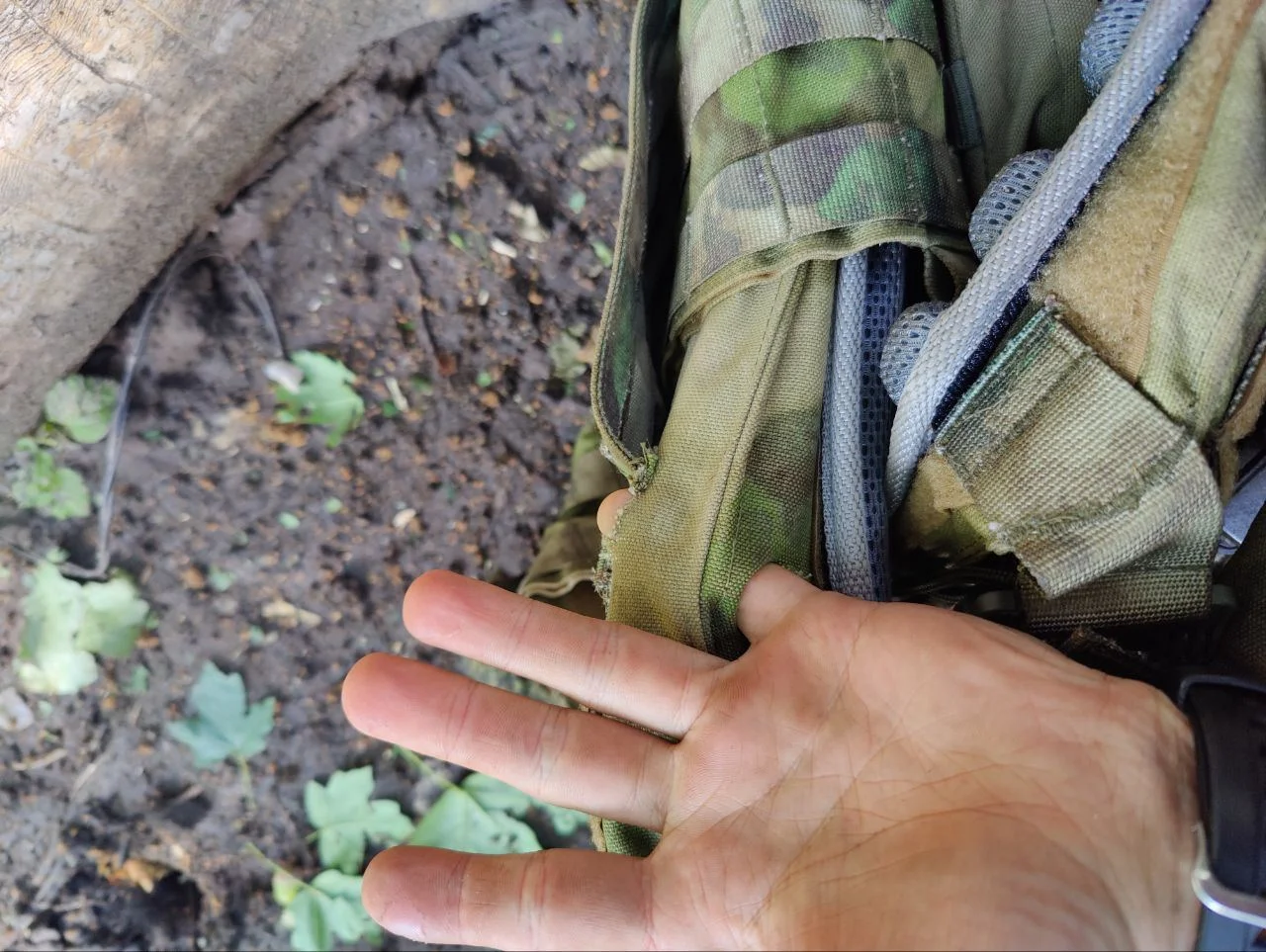 Изображение к публикации