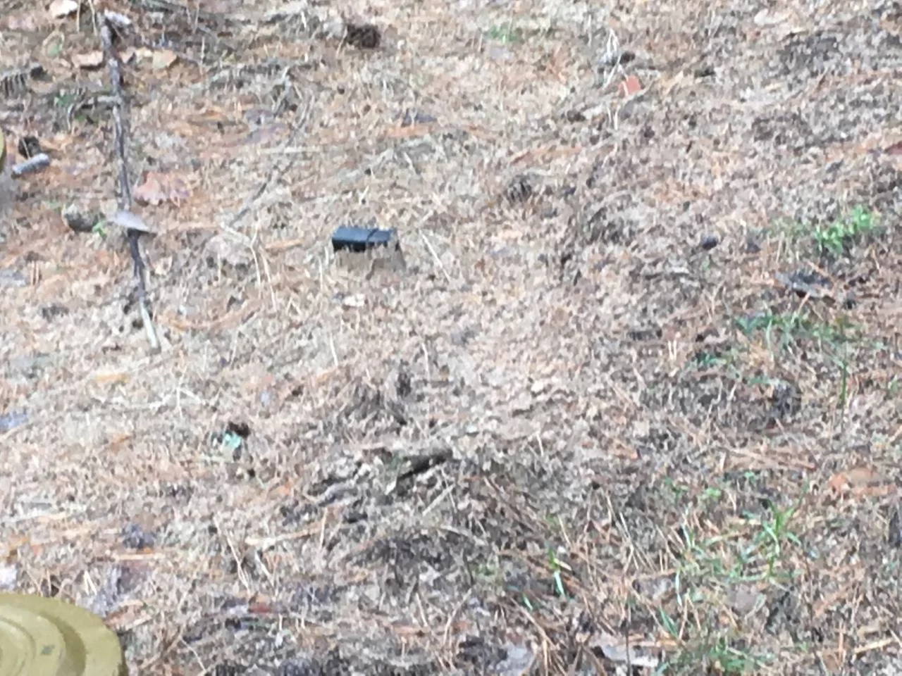 Изображение к публикации