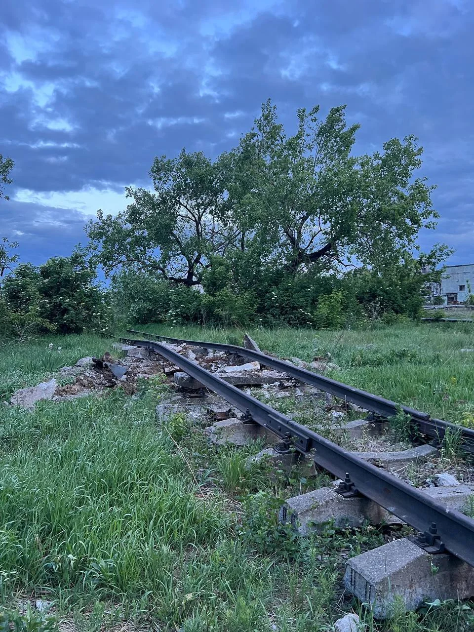 Изображение к публикации