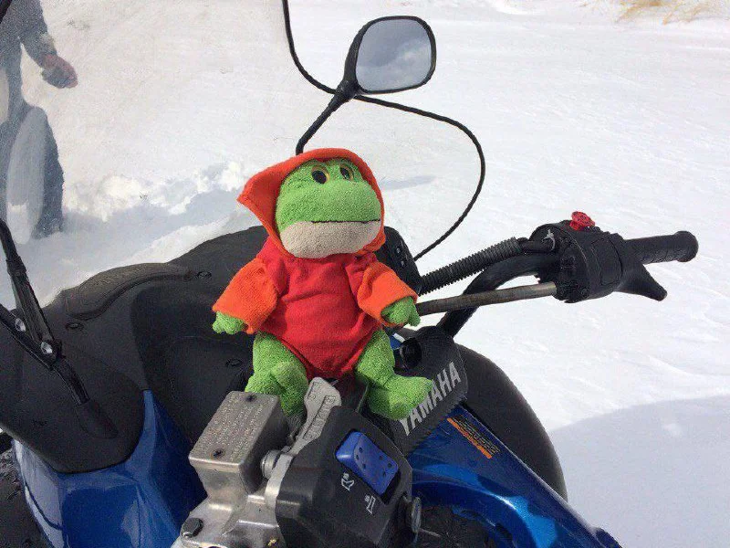 Изображение к публикации