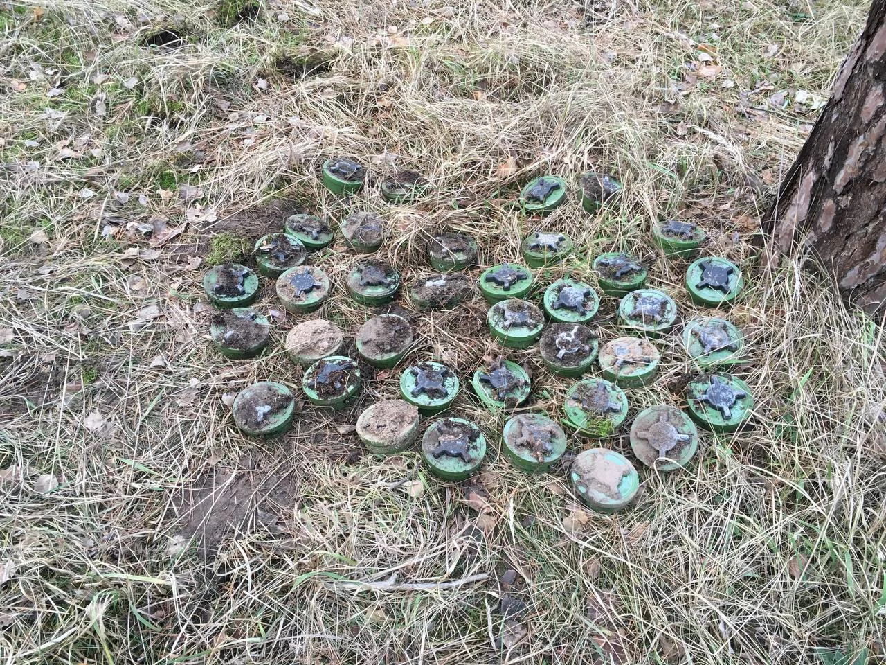 Изображение к публикации