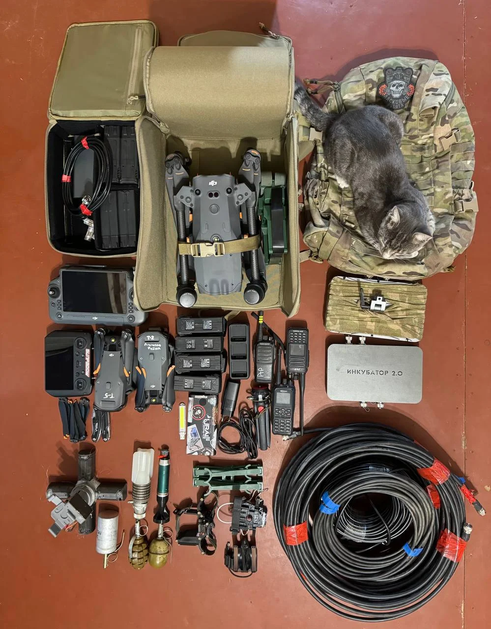 Изображение к публикации