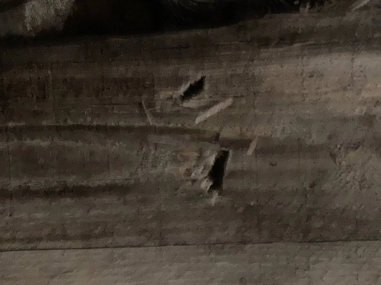 Изображение к публикации