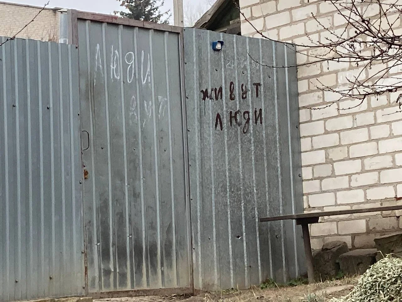 Изображение к публикации