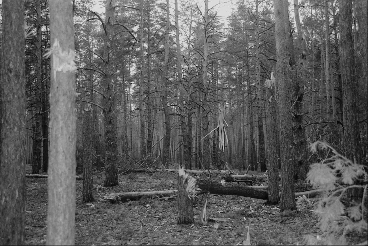 Изображение к публикации