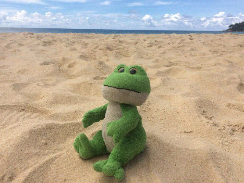 Изображение к публикации