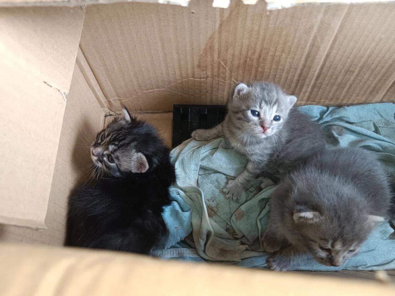 Изображение к публикации