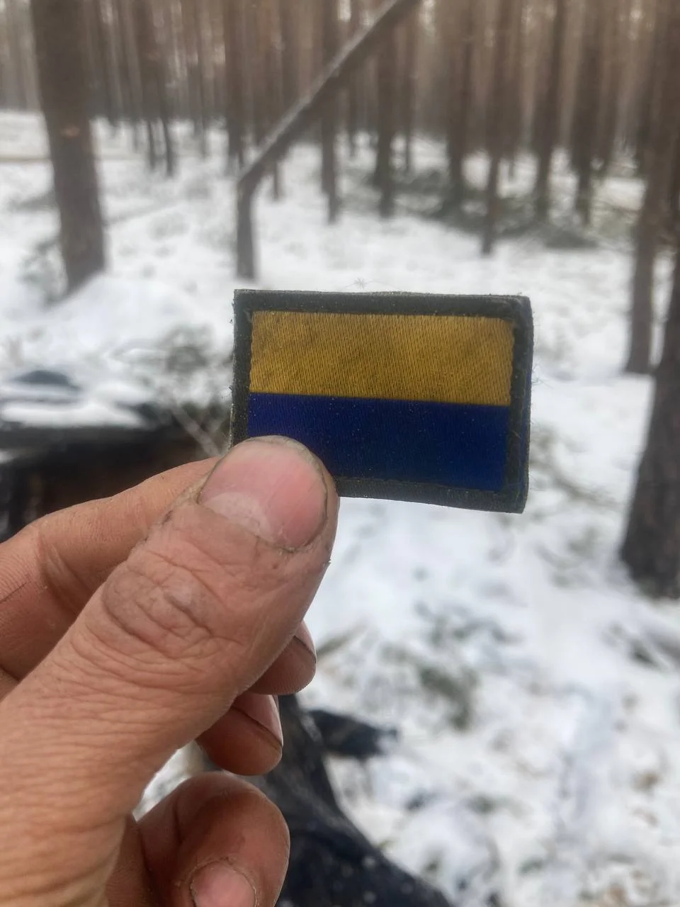 Изображение к публикации