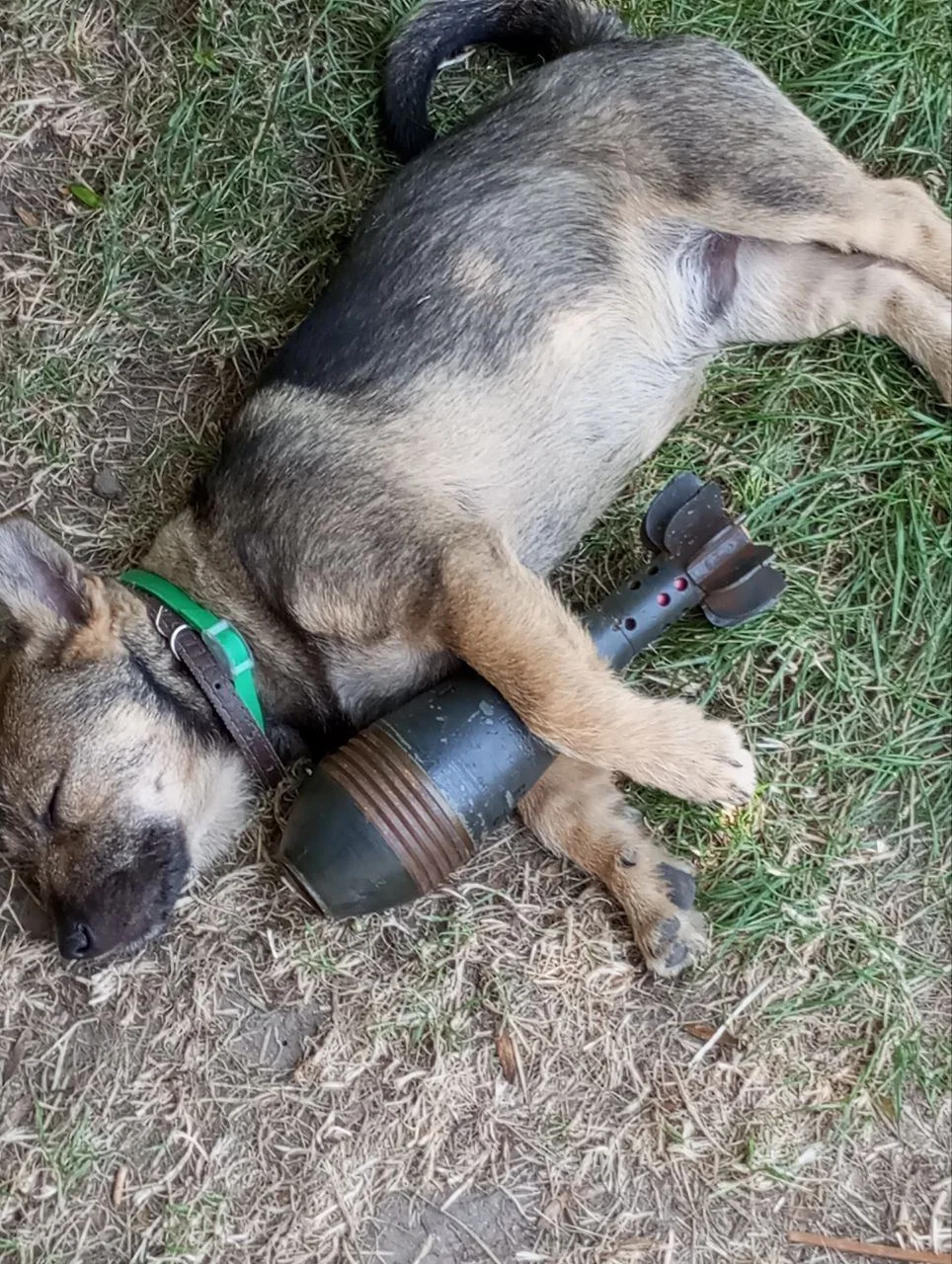 Изображение к публикации