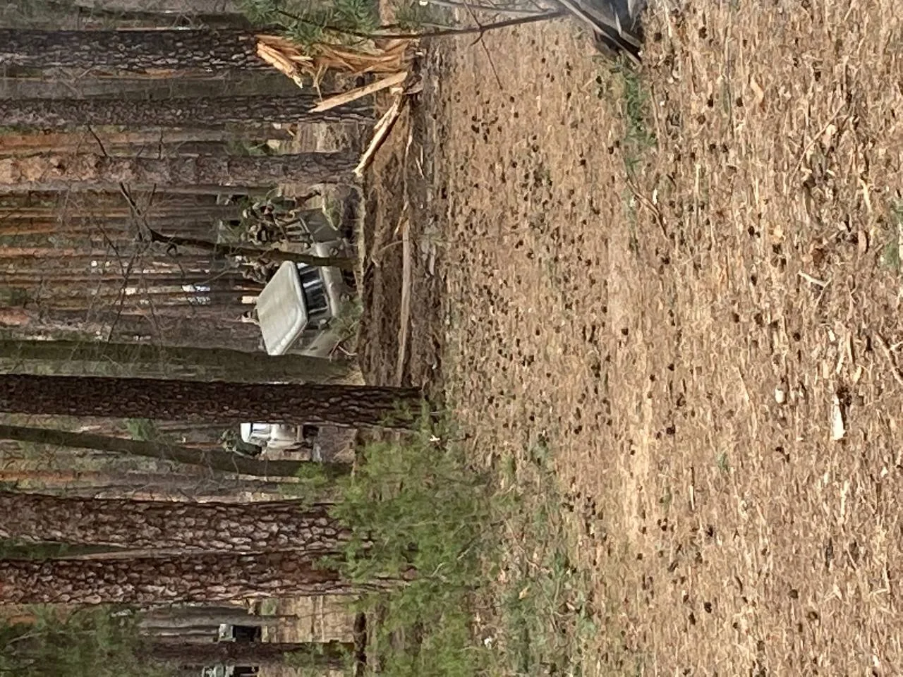 Изображение к публикации