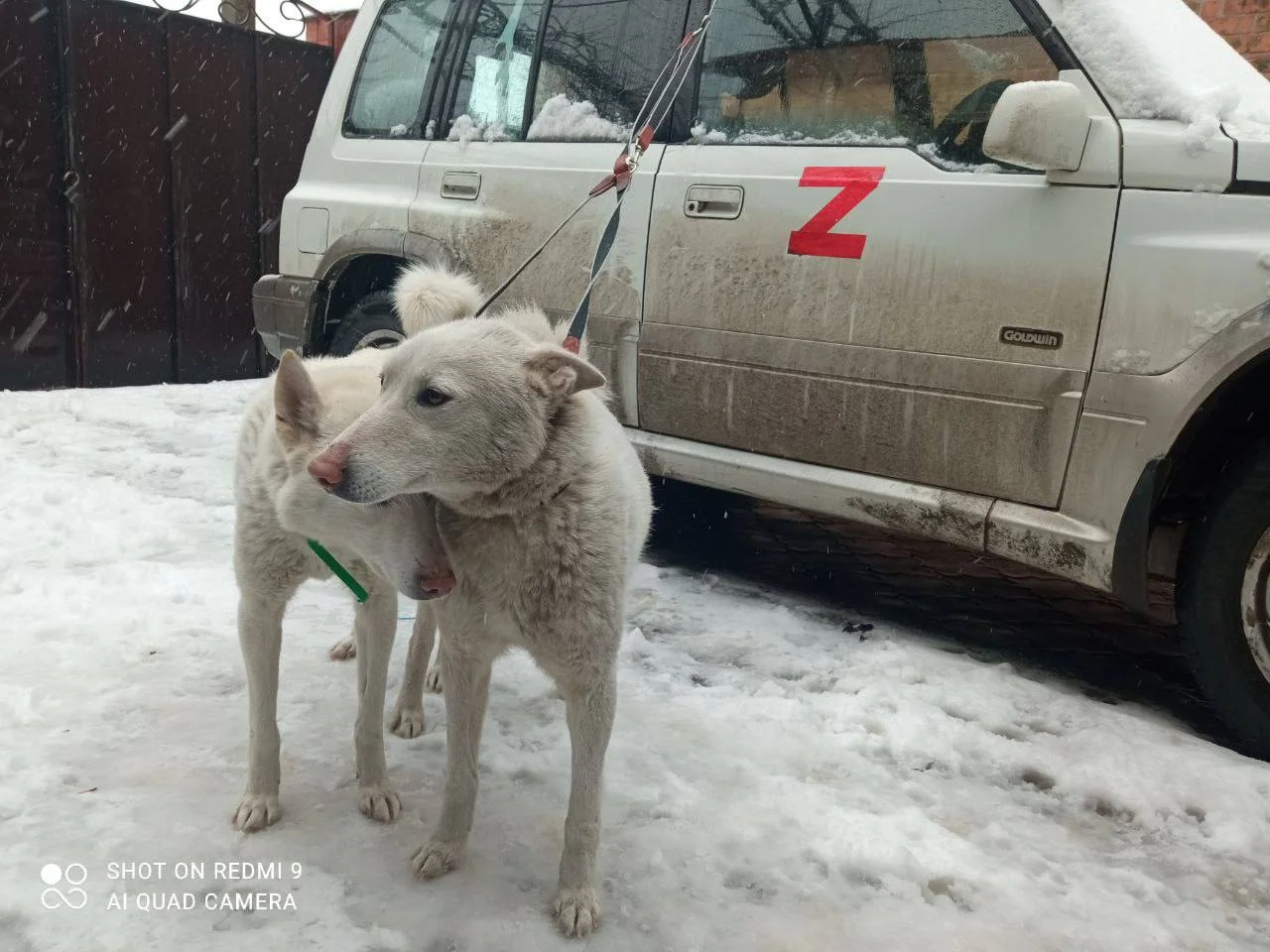 Изображение к публикации