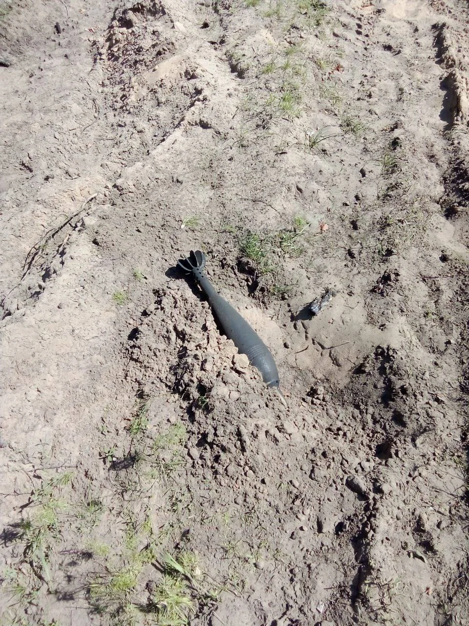 Изображение к публикации