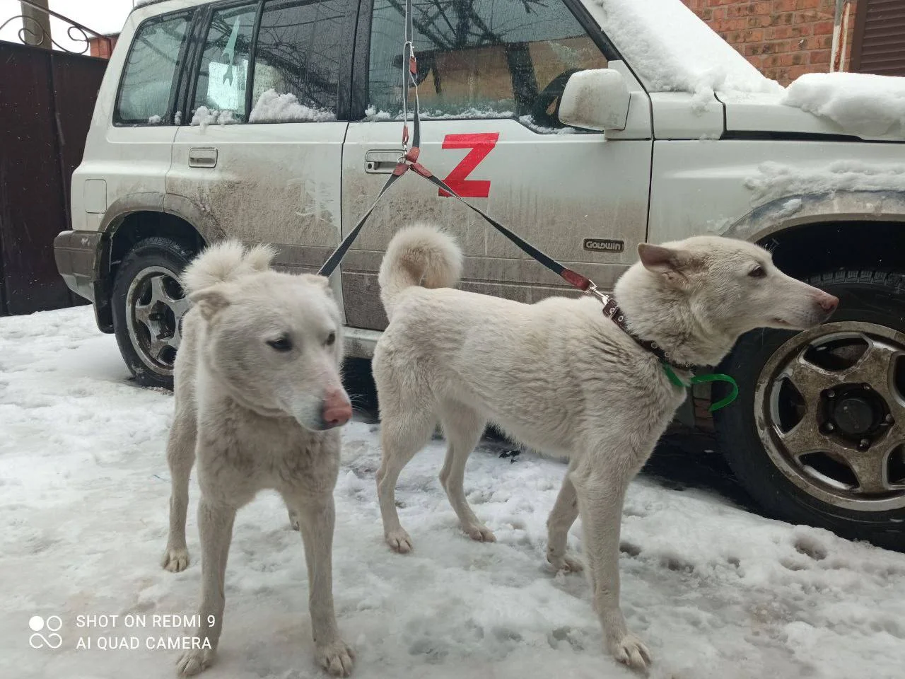 Изображение к публикации