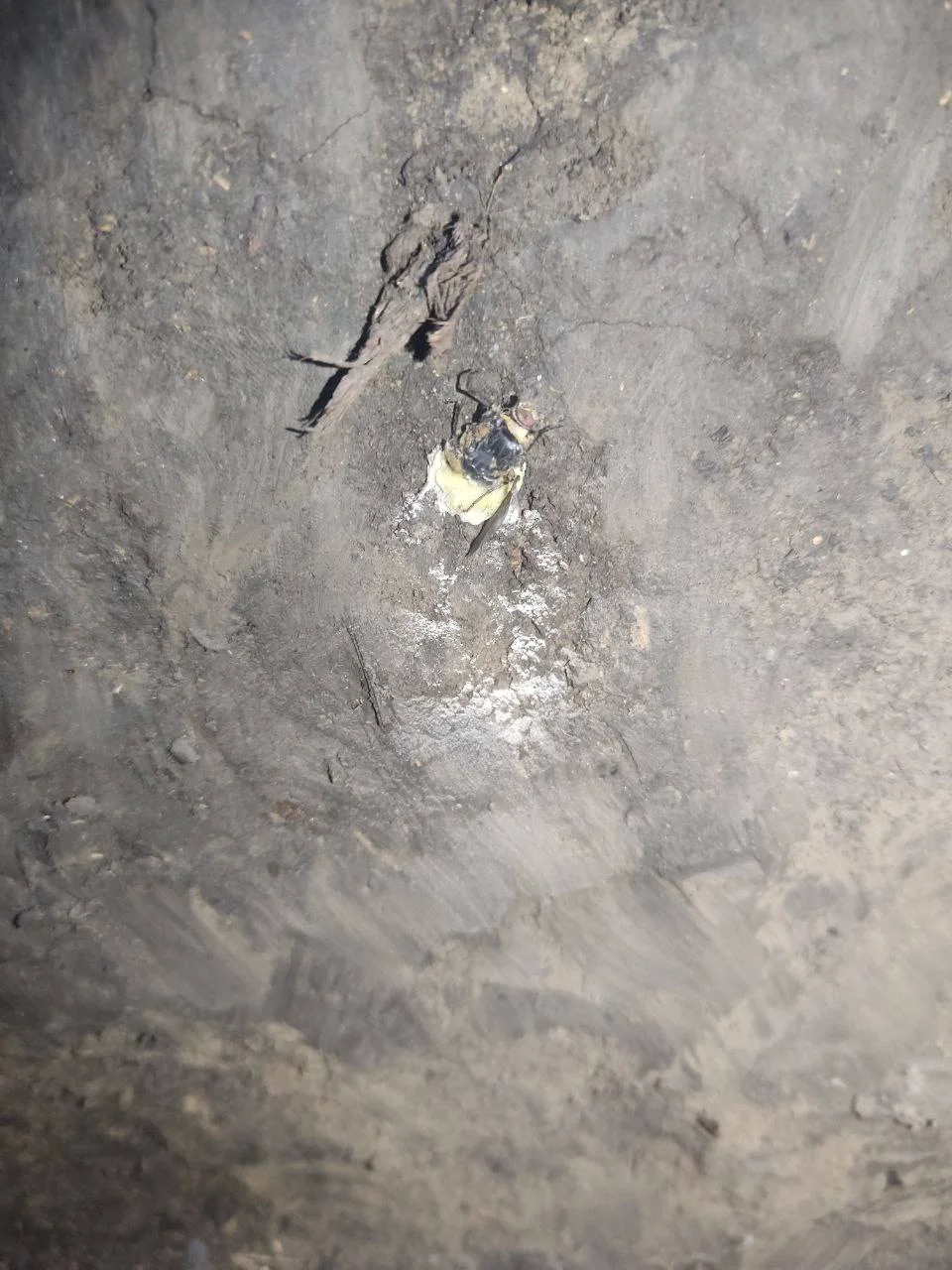 Изображение к публикации