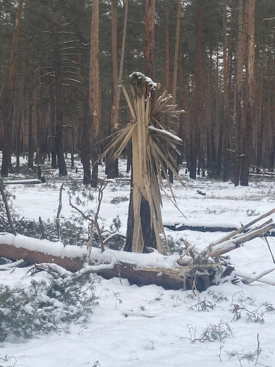 Изображение к публикации