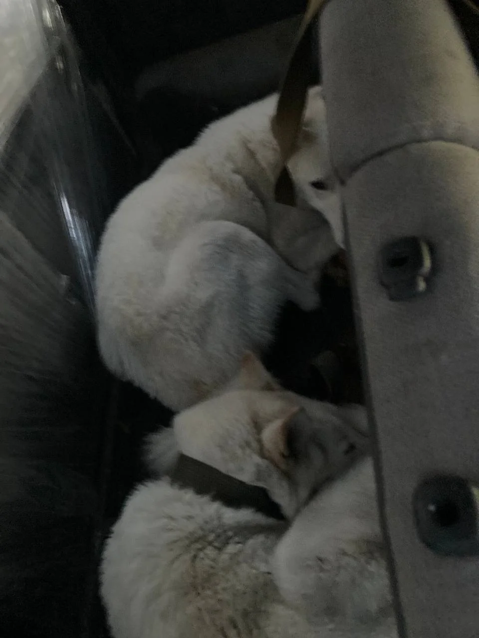 Изображение к публикации