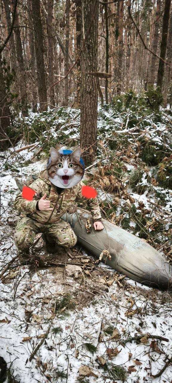 Изображение к публикации