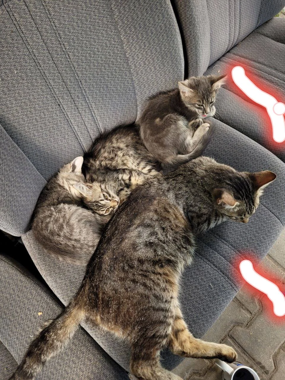 Изображение к публикации