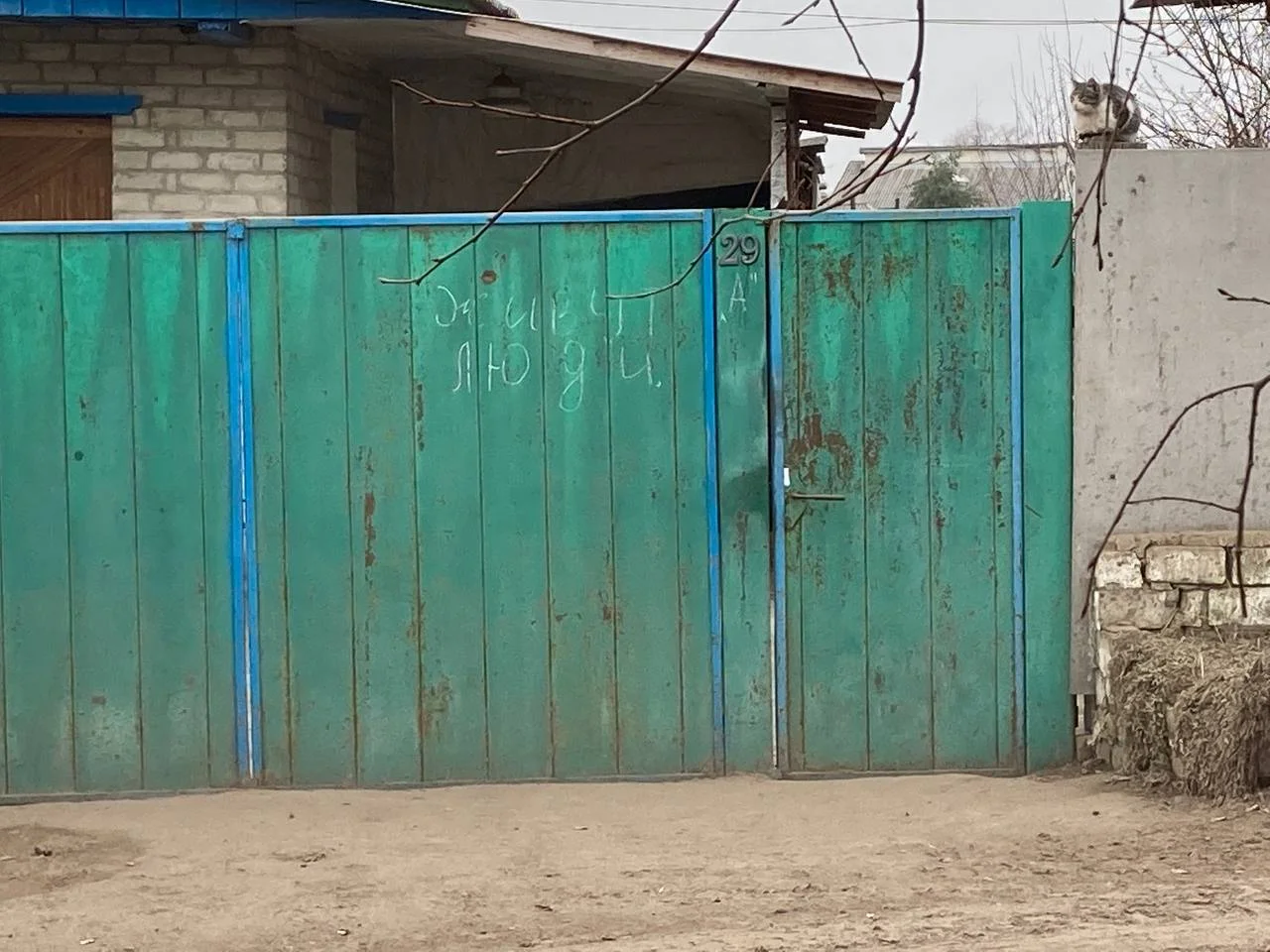 Изображение к публикации