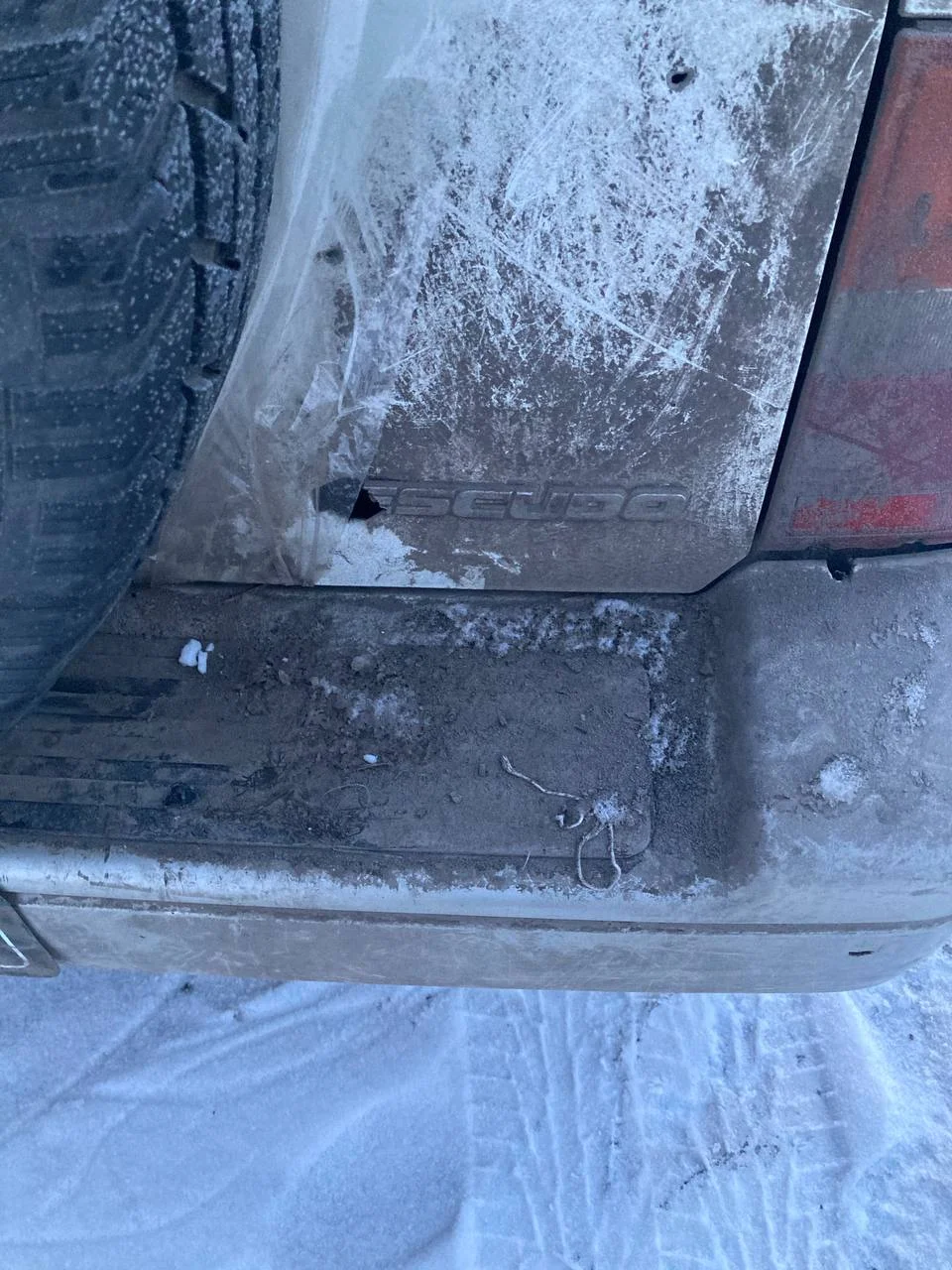 Изображение к публикации