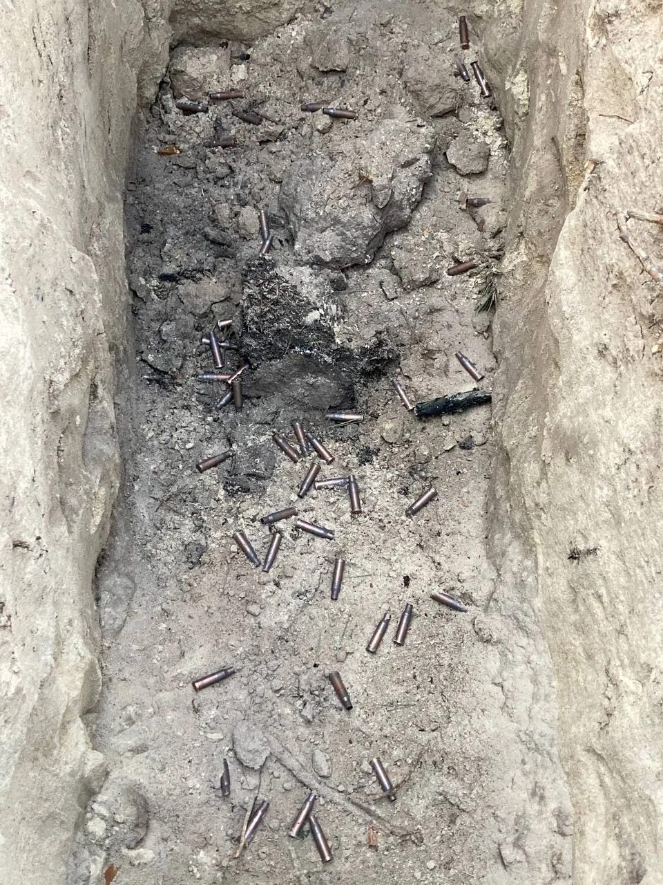 Изображение к публикации