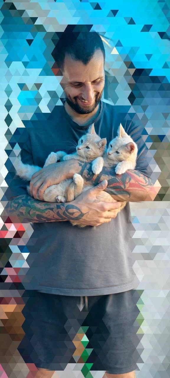 Изображение к публикации