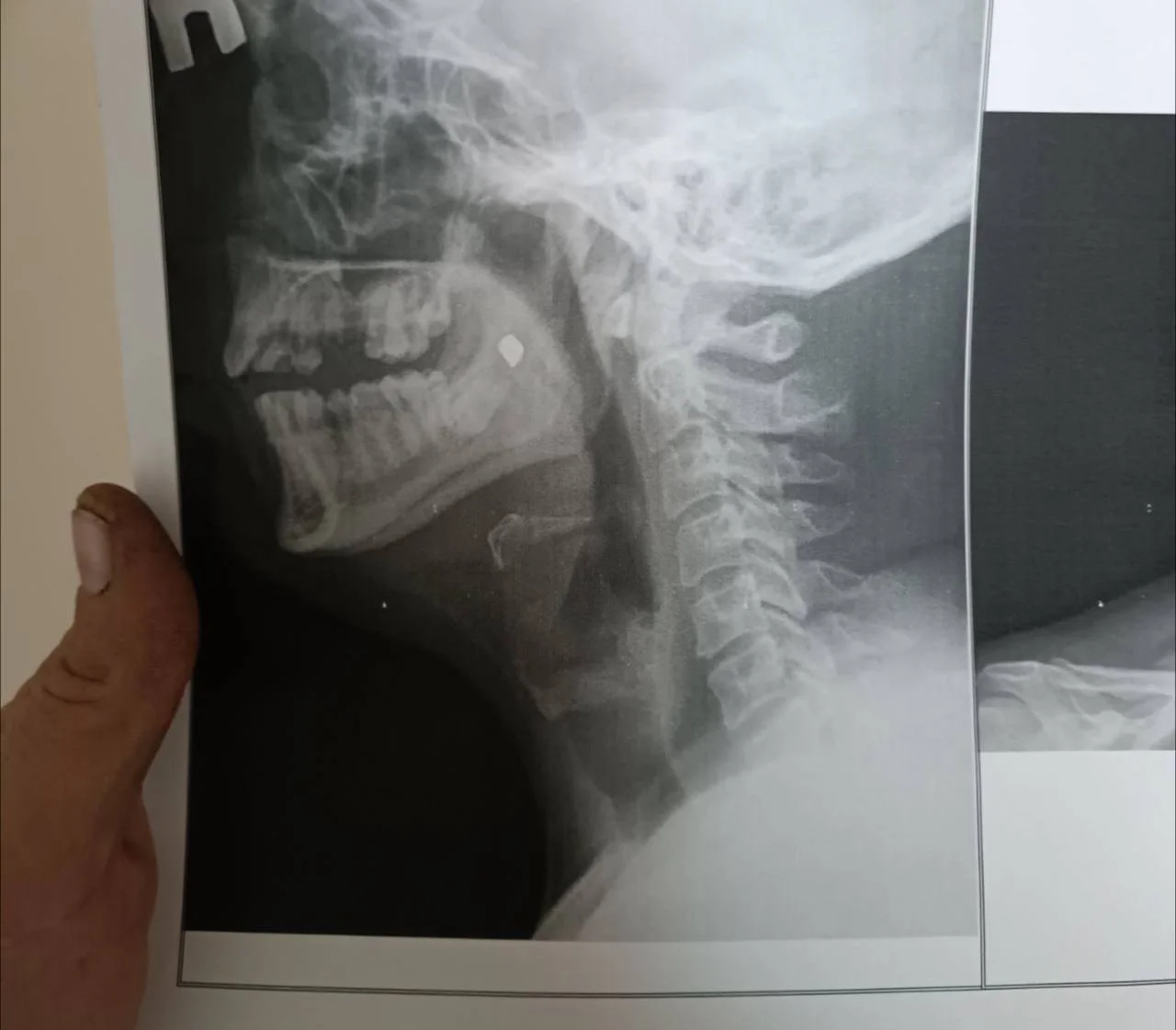 Изображение к публикации