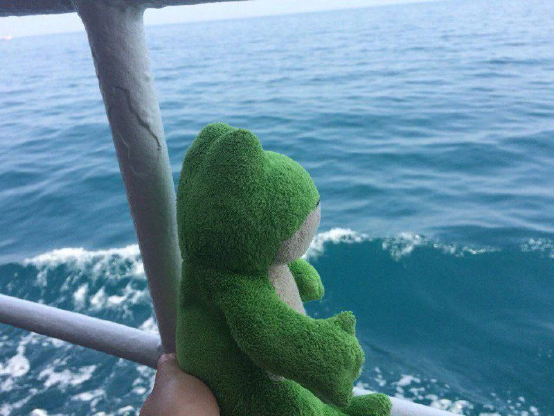 Изображение к публикации