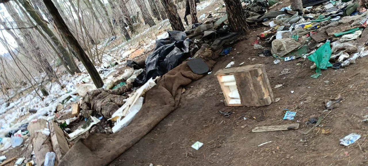 Изображение к публикации