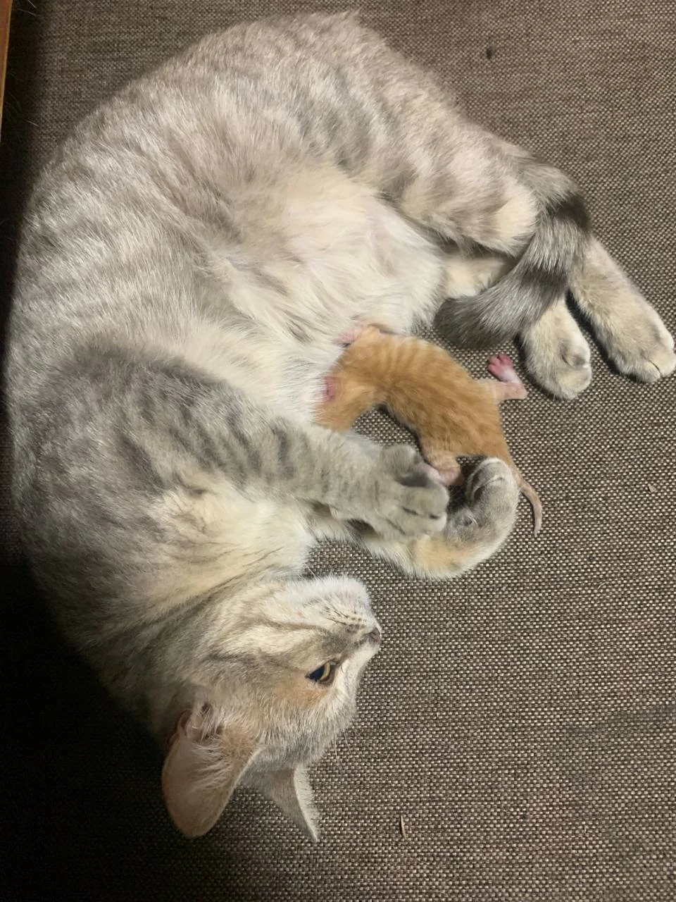 Изображение к публикации