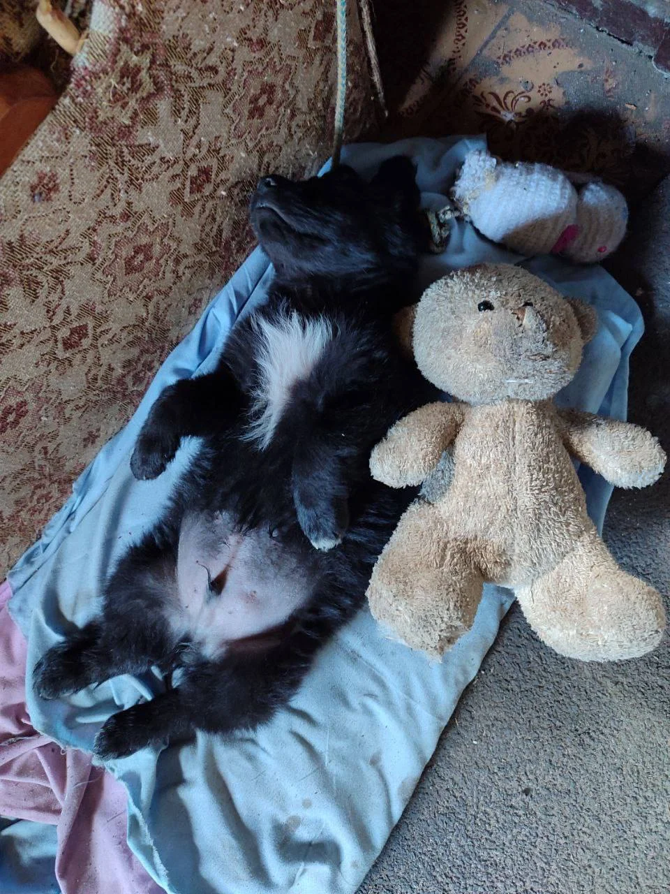 Изображение к публикации