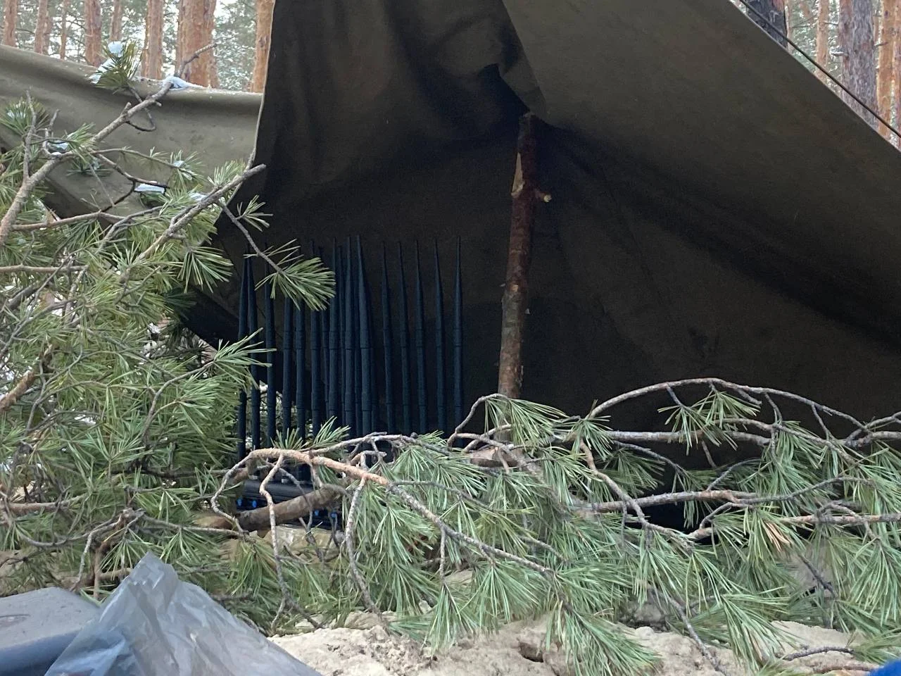 Изображение к публикации