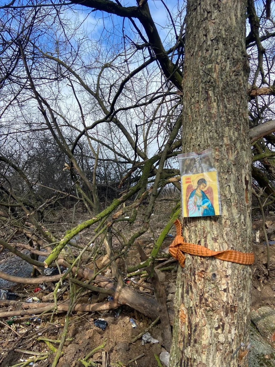 Изображение к публикации