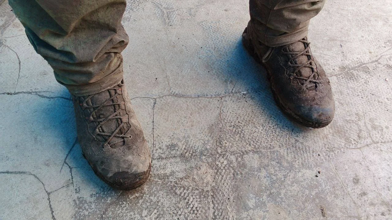 Изображение к публикации