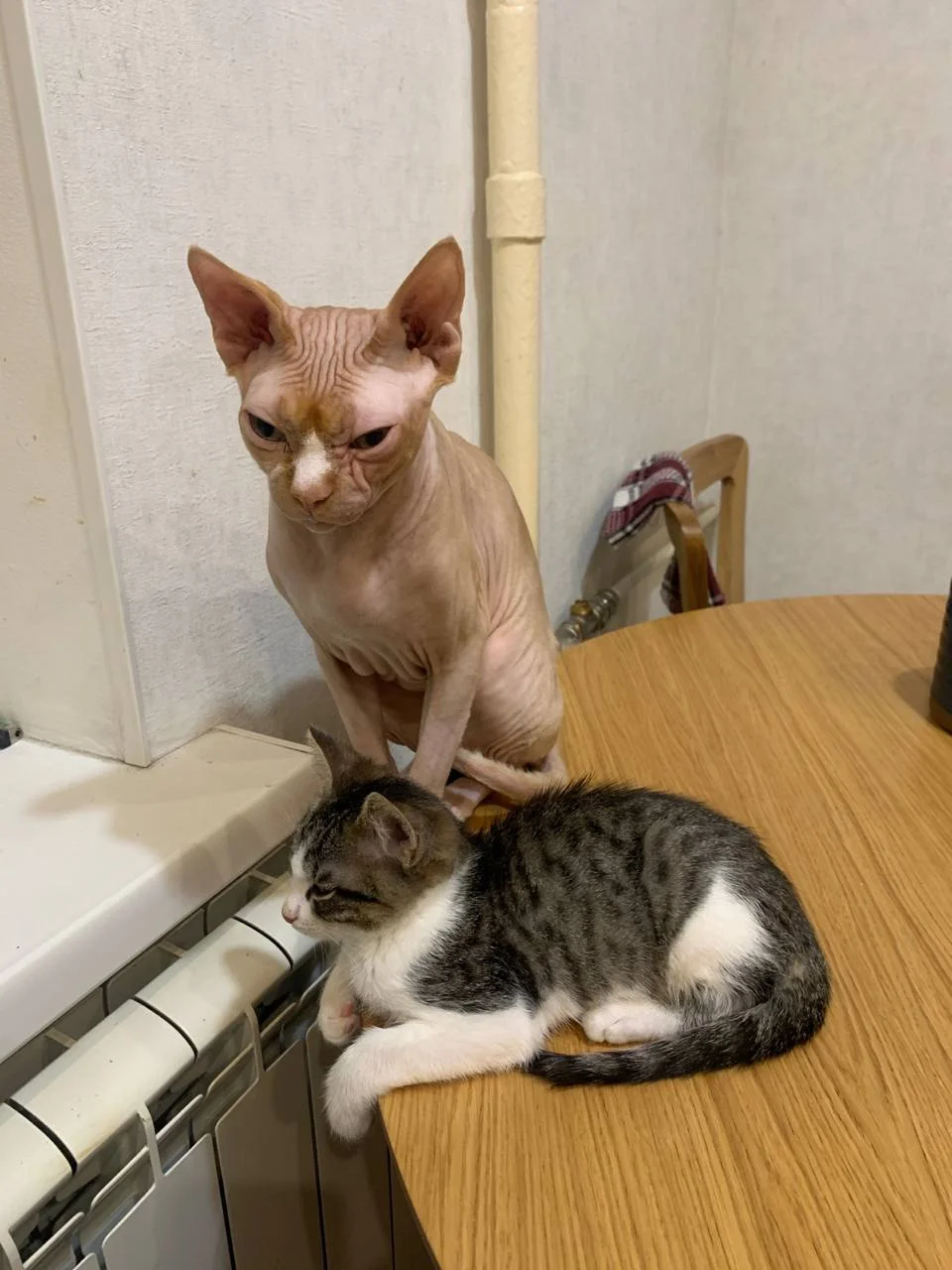 Изображение к публикации