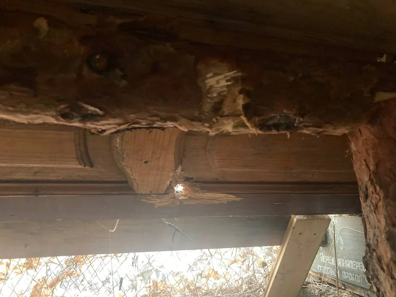 Изображение к публикации