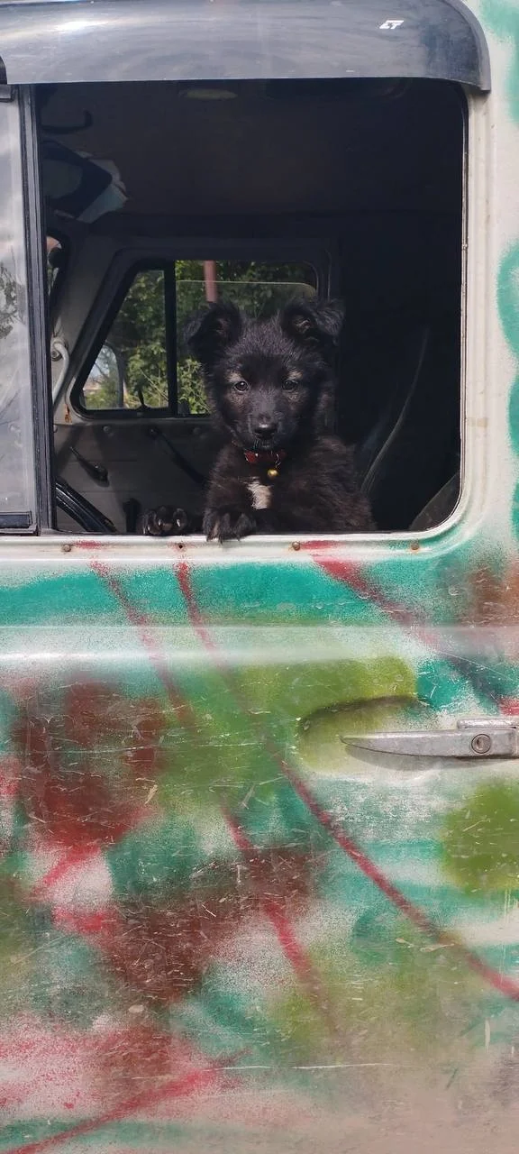 Изображение к публикации