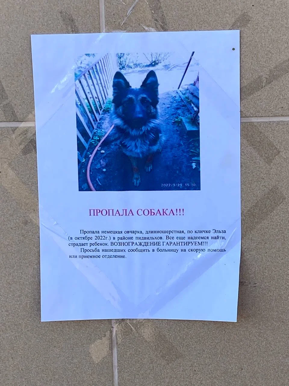 Изображение к публикации